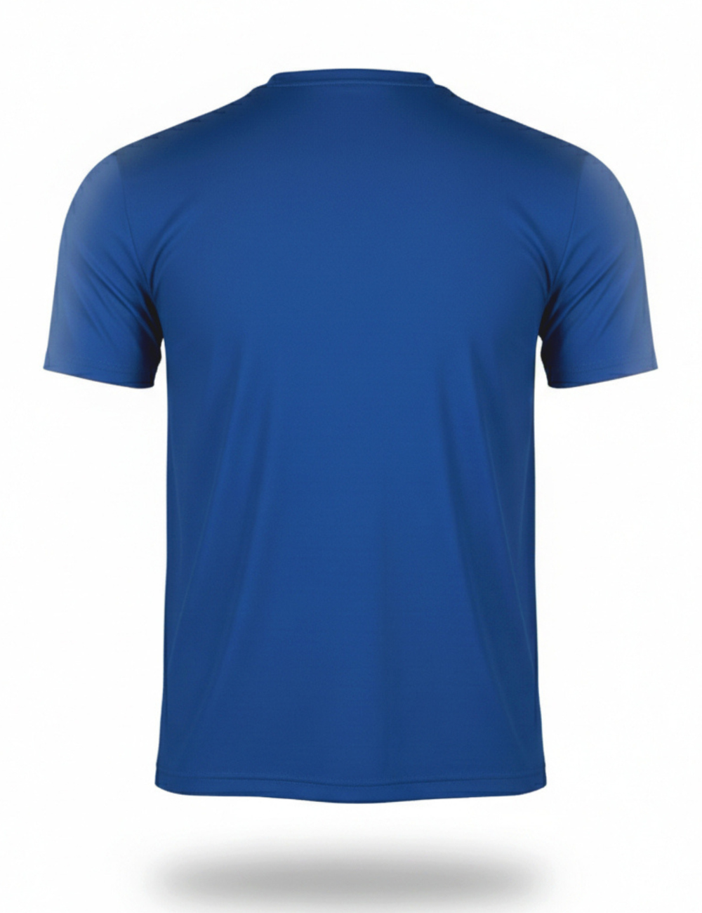 Light Weight Graphic stretchable Print Dry Fit T-Shirt  A29 Blue
